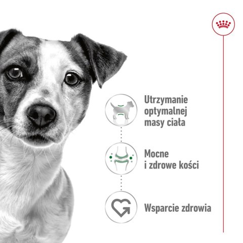 ROYAL CANIN SHN Mini Adult w sosie - mokra karma dla psa dorosłego - 12X85g