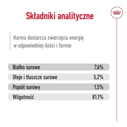 ROYAL CANIN SHN Mini Adult w sosie - mokra karma dla psa dorosłego - 12X85g