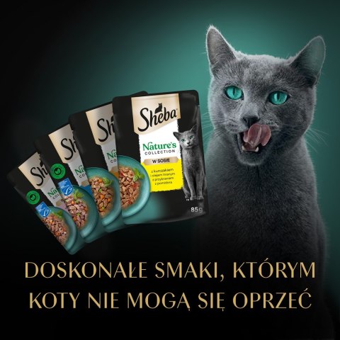 SHEBA Nature's mix smaków w sosie saszetki dla kota40x85g