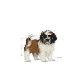 ROYAL CANIN BHN Shih Tzu Puppy - sucha karma dla szczeniąt - 0,5kg