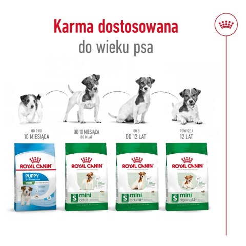 ROYAL CANIN Mini Adult +8 2kg - sucha karma dla psa