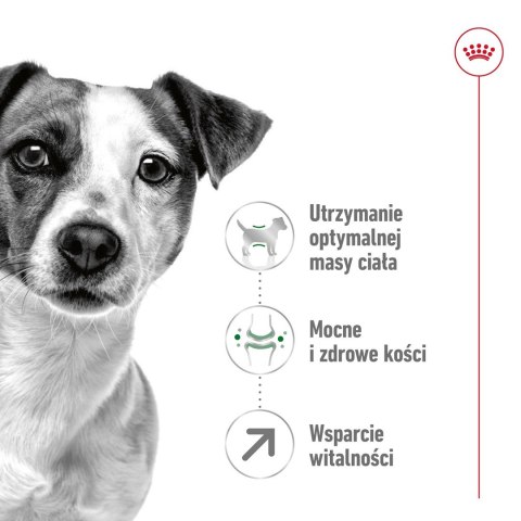 ROYAL CANIN Mini Adult +8 2kg - sucha karma dla psa