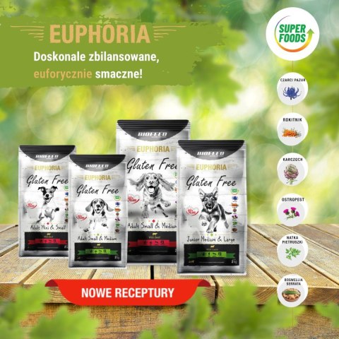 BIOFEED Euphoria G-F psy SMALL&MID jagnięcina 12kg