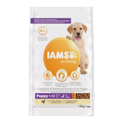 IAMS Vitality Puppy Large sucha - karma dla psa - 12 kg