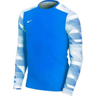 Bluza bramkarska dla dzieci Nike Dry Park IV JSY LS GK JUNIOR niebieska CJ6072 463 L