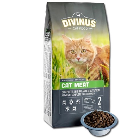 PRÓBKA Divinus Cat Meat 100g