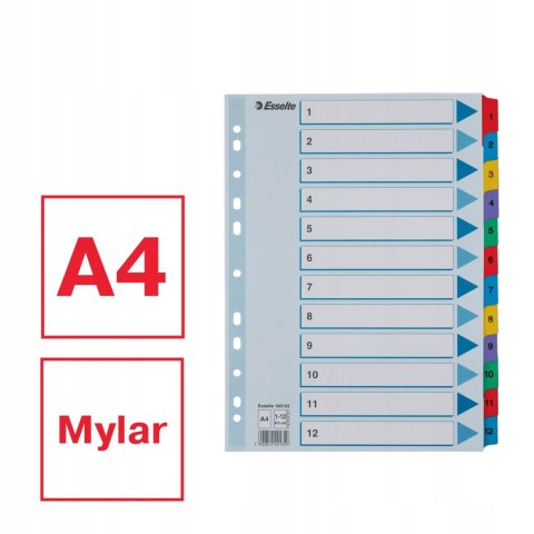 Przekładki kartonowe MYLAR A4 1-12 białe 100162 ESSELTE