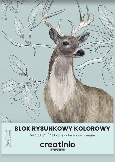 Blok rysunkowy A4 10k kolorowy CREATINIO 400176665 TOP 2000