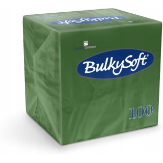 Serwetki BULKYSOFT 24x24mm 2 warstwy (100szt) zielone 32459