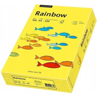 Papier ksero A4 160g RAINBOW R18 ciemnożółty 88042395