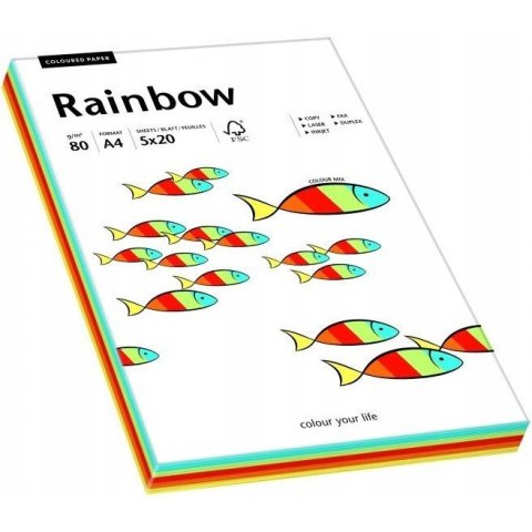 Papier ksero A4 80g RAINBOW mix intensywny 88043188