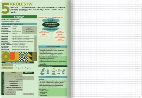 Zestaw zeszytów A5 60k (8szt) j.polski matematyka biologia historia j.angielski geografia chemia fizyka TOP 2000