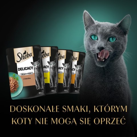 SHEBA Delicacy Drobiowe Smaki w galaretce - mokra karma dla kotów - 80x 85 g