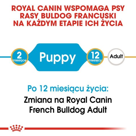 ROYAL CANIN BHN French Bulldog Puppy - sucha karma dla szczeniąt - 3kg