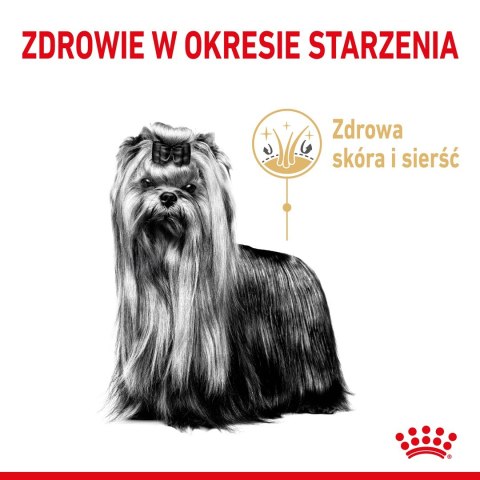 ROYAL CANIN BHN Yorkshire Ageing 8+ - sucha karma dla psa starszego - 3 kg