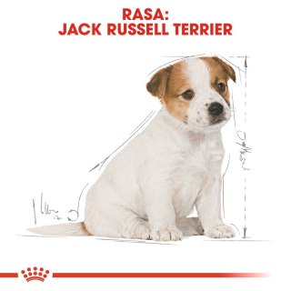 Karma Royal Canin SHN Breed Jack Russ Jun (3 kg )