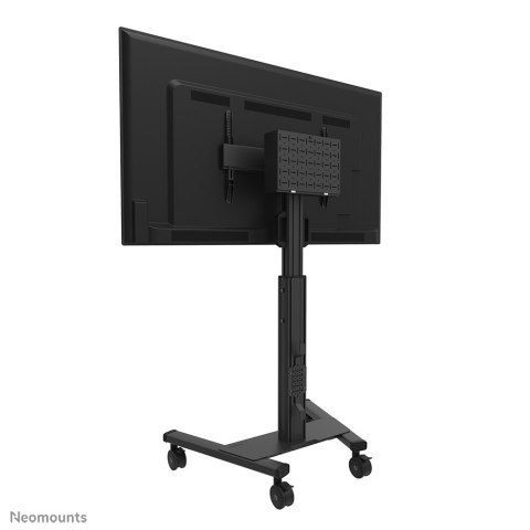 MONITOR ACC FLOOR STAND 37-75"/FL50S-825BL1 NEOMOUNTS