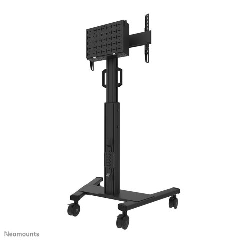 MONITOR ACC FLOOR STAND 37-75"/FL50S-825BL1 NEOMOUNTS