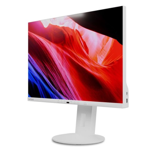 Lenovo Monitor C24d-20 4" 1920x1200 WUXGA 16:10 IPS 5 ms pivot USB-C Biały