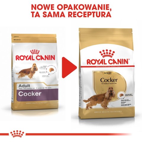 ROYAL CANIN BHN Cocker Adult - sucha karma dla psa dorosłego - 12 kg