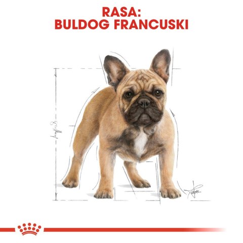 ROYAL CANIN BHN French Bulldog Adult - sucha karma dla psa dorosłego - 3kg