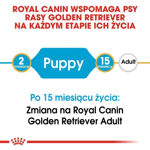 ROYAL CANIN BHN Golden Retriever Puppy - sucha karma dla szczeniąt - 12kg