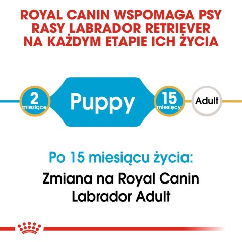 ROYAL CANIN BHN Labrador Puppy - sucha karma dla szczeniąt - 12kg