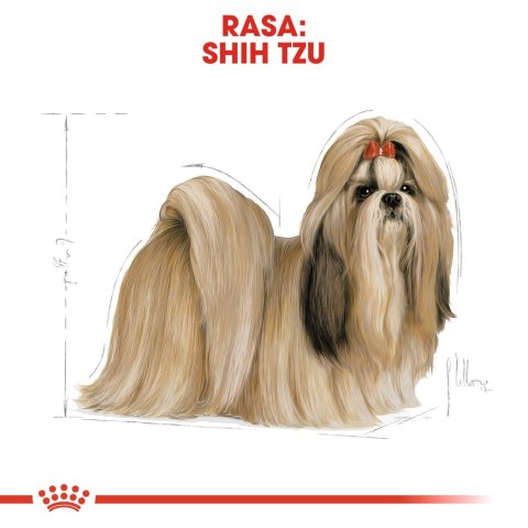 ROYAL CANIN BHN Shih Tzu Adult - sucha karma dla psa dorosłego - 1,5kg