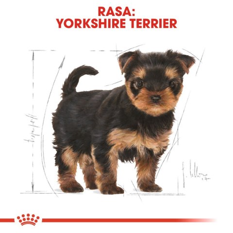 ROYAL CANIN BHN Yorkshire Puppy - sucha karma dla szczeniąt - 1,5 kg