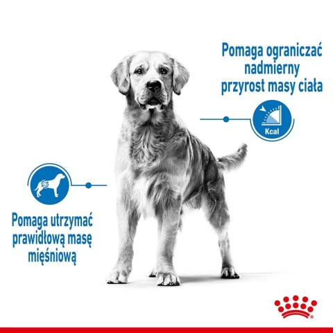 ROYAL CANIN CCN MEDIUM LIGHT WEIGHT CARE - sucha karma dla psa dorosłego - 3kg