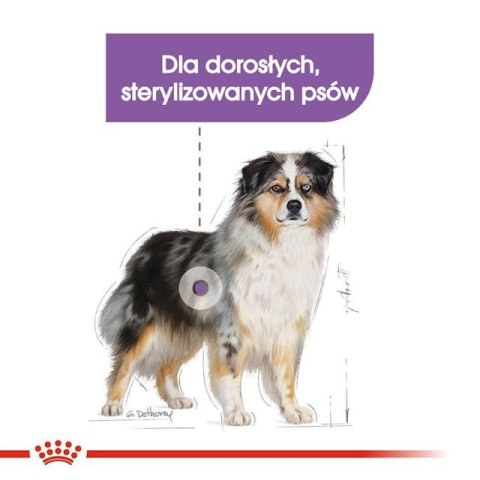 ROYAL CANIN CCN Medium Sterilised Adult - sucha karma dla psa - 12 kg