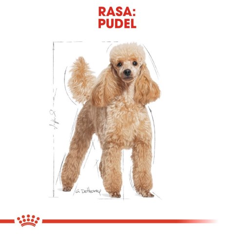 ROYAL CANIN Poodle 1,5kg