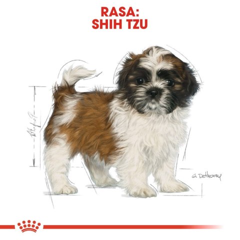 Royal Canin BHN Shih Tzu Puppy - sucha karma dla szczeniąt - 1,5kg