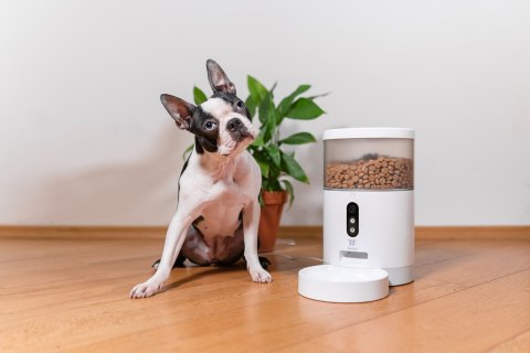 Dozownik karmy dla zwierząt z kamerą TESLA TSL-PC-BL4C Smart Pet Feeder Camera