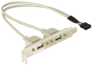 DELOCK Slotblech 2x USB A