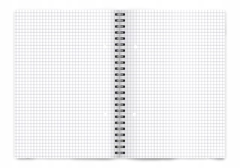 Kołozeszyt A5 100k kratka COLORS 400169209 TOP 2000