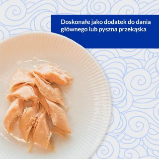 INABA Grilled Chicken Filet z kurczaka w bulionie o smaku kurczaka - przysmak dla kota - 25 g