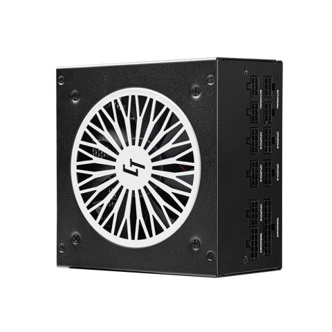 Chieftec PowerUp Chieftronic moduł zasilaczy 650 W 20+4 pin ATX ATX Czarny