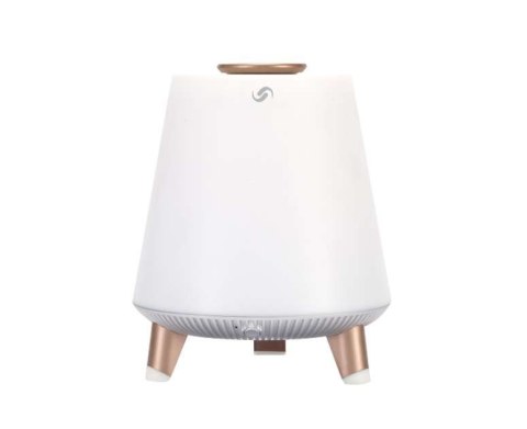 Przenośny głośnik Bluetooth BT25LAMP