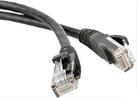 GEMBIRD CAT5e UTP 0.25 m Czarny 0.25 Patchcord