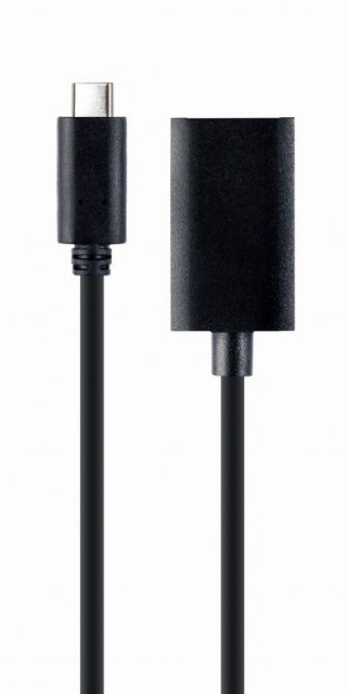 Adapter USB-C do DisplayPort 4K 15 cm