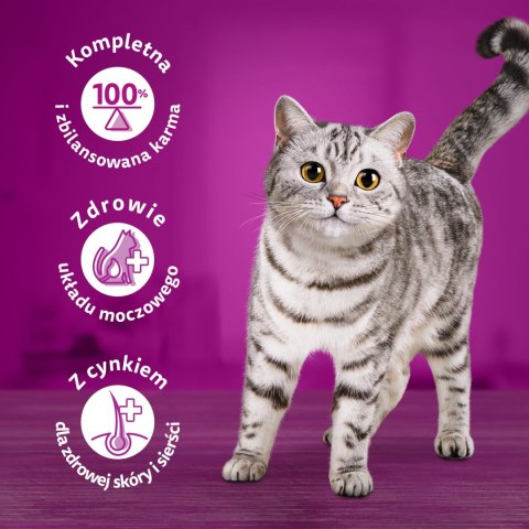 WHISKAS Pure Delight Drobiowe Frykasy Karma w Galaretce 40x85g