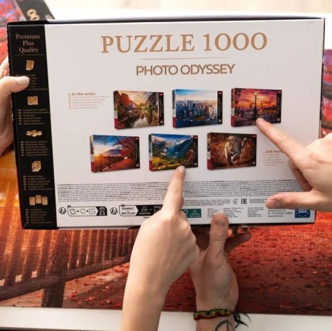 Puzzle 1000 elementów Premium Muzeum Bode Berlin Niemcy