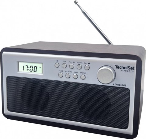 Radio Classic 210