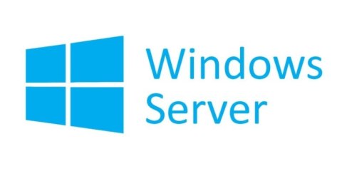 System operacyjny MICROSOFT Win Svr CAL 2022 PL R18-06473