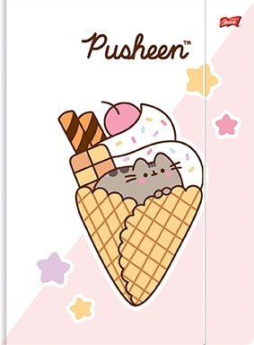 Teczka z Gumką Pusheen The Cat Kotek Różowy