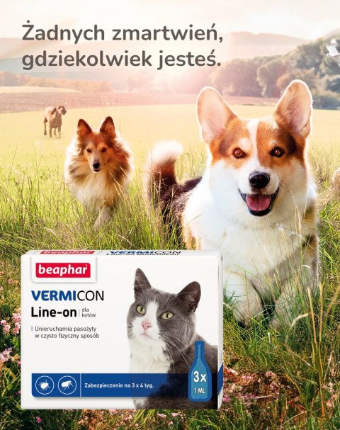 BEAPHAR VERMIcon Line-on Cat - krople przeciw pasożytom dla kota - 3x 1ml