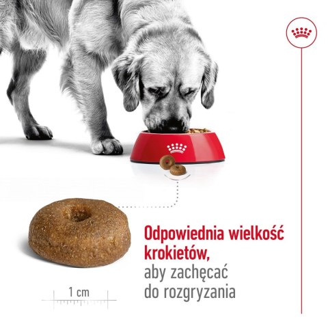 Karma Royal Canin Dog Food Maxi Ageing (15 kg )