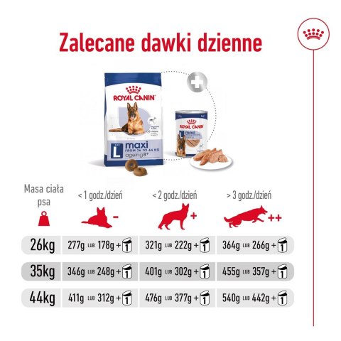 Karma Royal Canin Dog Food Maxi Ageing (15 kg )