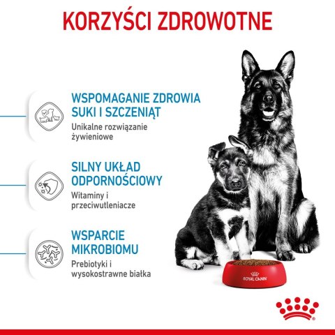 ROYAL CANIN SHN Maxi Starter Mother & Babydog - sucha karma dla psa - 4 kg